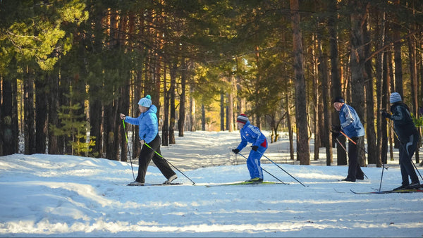 A group of people skiing across a clearing within a vibrant forest with snow