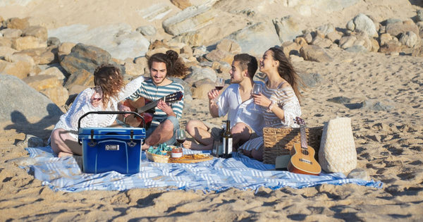 Group of people on a picnic with a Cubix Viva cooler